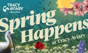 Promotional banner for a spring event at Tracy Aviary Liberty Park, with birds, flowers, and large cream text across a leafy background.