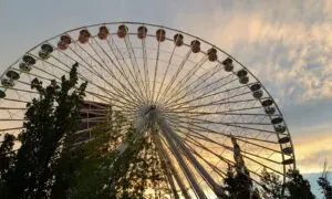 Ferris wheel silhouette against a sunset sky with green trees in the foreground.