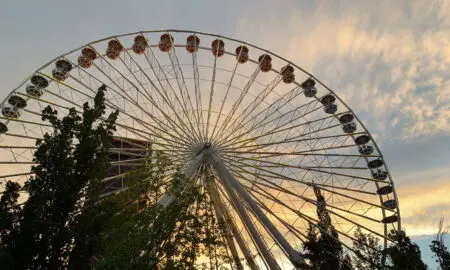 Ferris wheel silhouette against a sunset sky with green trees in the foreground.