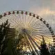 Ferris wheel silhouette against a sunset sky with green trees in the foreground.