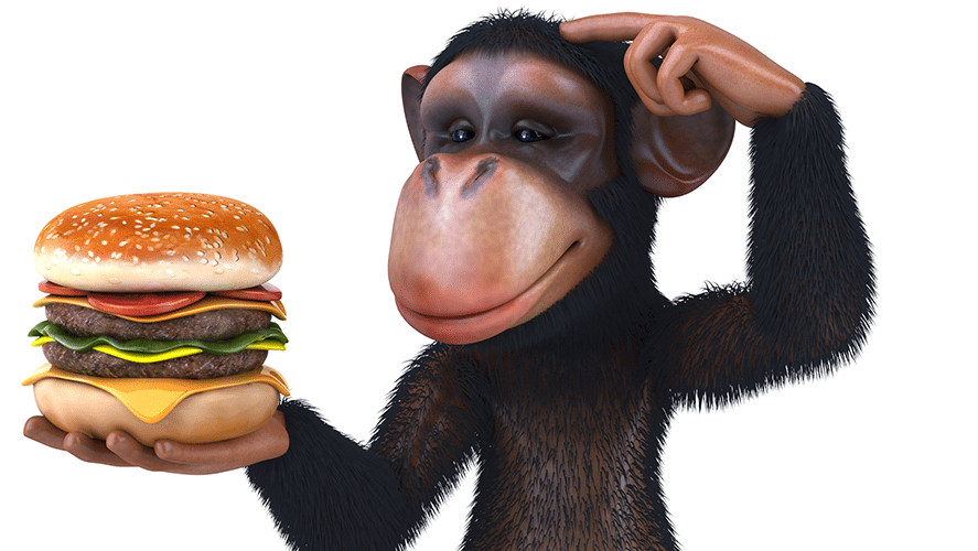 Monkey Escapes Zoo, Goes To McDonald's - X96