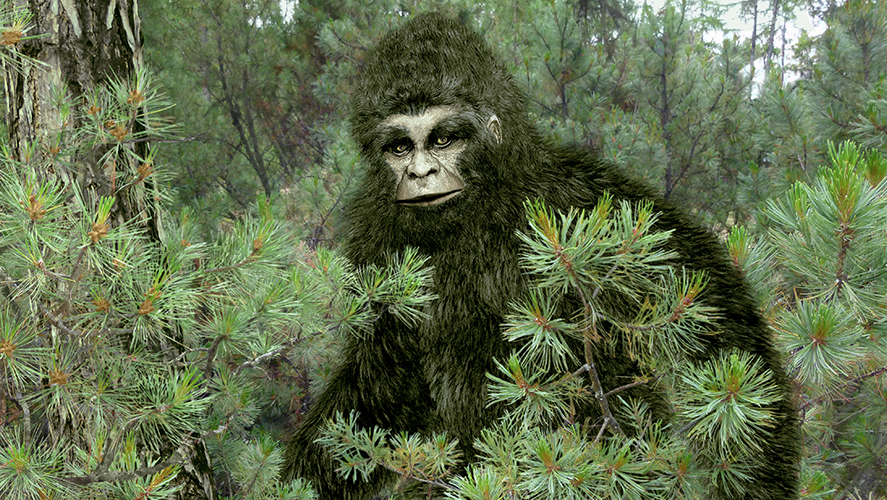 A Bigfoot hunting season in Oklahoma? Here's why a lawmaker filed