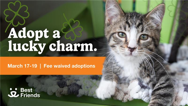 Best Friends Animal Society | Adopt a Lucky Charm
