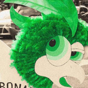 THE MACKS - NEW ALBUM BONANZA Cover art